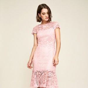 Alice embroidered lace dress